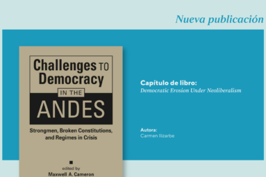 Nuevo capítulo de libro de la investigadora Carmen Ilizarbe