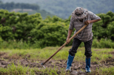 Un mal contexto para ser campesino