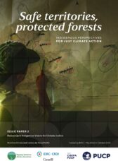 Safe territories, protected forests. Indigenous perspectives for just climate action.