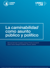 La caminabilidad como asunto público y político
